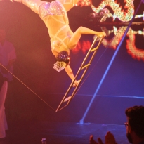 2016_17 CRAZY PALACE Show 3 - jowapress