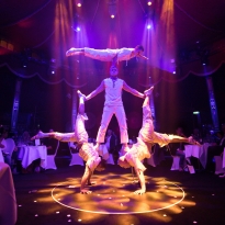 2018_19 CRAZY PALACE 038 - QUELLE GUSTAI_PIXELGRÜN