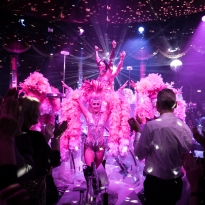 2018_19 CRAZY PALACE 165 - QUELLE GUSTAI_PIXELGRÜN